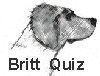 Test your knowledge of the breed