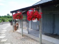 Sideview of our Kennels