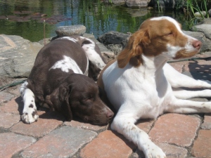 Tia and Bailey in the nation's capital!