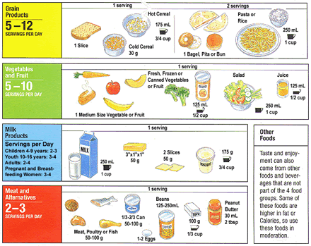 Canada's Food Guide to Healthy Eating Bar Guide