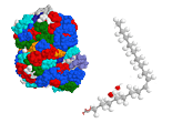 proteins etc.